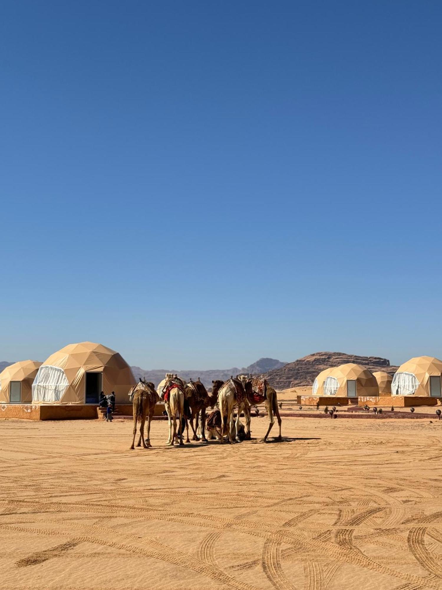 Wadi Rum Anwar Luxury Camp Екстериор снимка